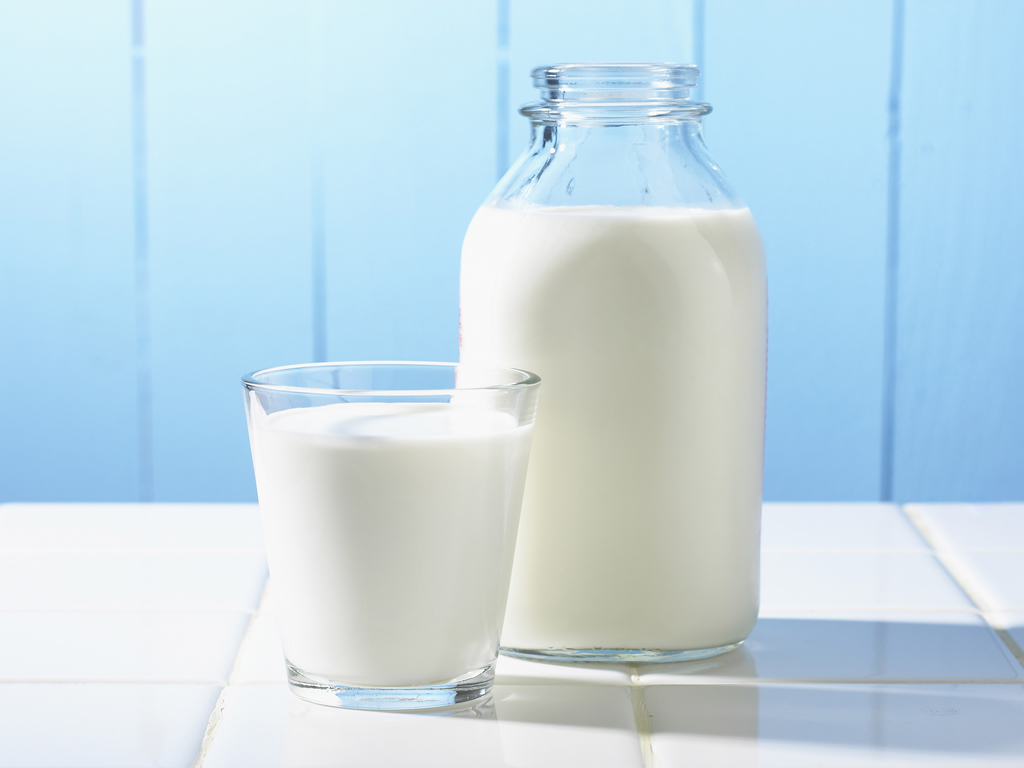 10 perguntas e respostas sobre lactose Viva Lácteos